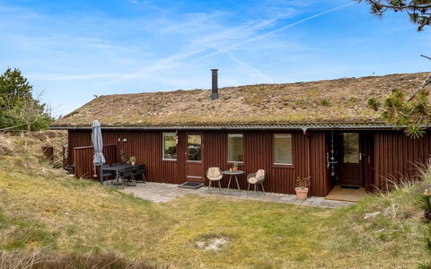 Thorgny - 1Km from the Sea: Plantesamfund, Sollys, Urteagtig Plante, Have, Plantation, Landbrug, Farm