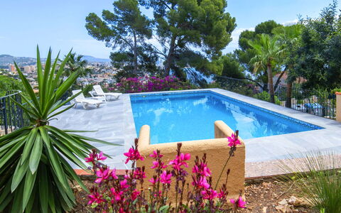 Sol: Blå, Svømmepøl, Udvej, Fritid, Tropics, Skygge, Eco Hotel, Landscaping, Hotel