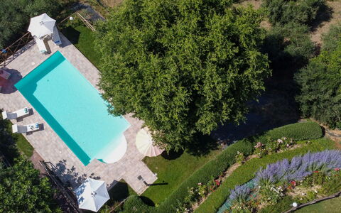 Casa dei Nonni: Svømmepøl, Have, Fritid, Udvej, Lawn, Estate, Backyard, Landscaping, Skygge, Gård
