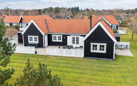 Franka - 1.1Km from the Sea: Plantesamfund, Sollys, Urteagtig Plante, Have, Plantation, Landbrug, Farm