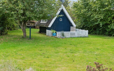 Aleksia - 1.4Km from the Sea: Vegetationen, Busk, Forår, Sommerhus, Have, Skygge, Backyard, Gård, Stol