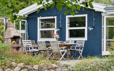 Aleksia - 1.4Km from the Sea: Vegetationen, Busk, Forår, Sommerhus, Have, Skygge, Backyard, Gård, Stol