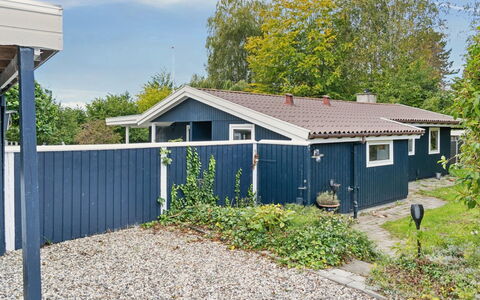 Aleksia - 1.4Km from the Sea: Vegetationen, Busk, Forår, Sommerhus, Have, Skygge, Backyard, Gård, Stol