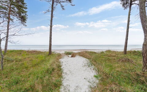 Apelun - 60M from the Sea: Naturligt Miljø, Økoregion, Kyst, Landskab, Coastal Og Oceaniske Landskabsformer, Almindeligt, Hav, Kyst, Strand, Ocean