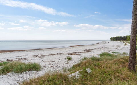 Apelun - 60M from the Sea: Kyst, Strand, Coastal Og Oceaniske Landskabsformer, Kyst, Hav, Økoregion, Bank, Sand, Ocean
