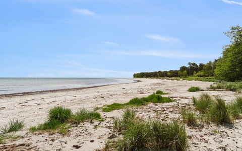 Liska - 60M from the Sea: Naturligt Miljø, Sommer, Horisont, Økoregion, Kyst, Strand, Coastal Og Oceaniske Landskabsformer, Kyst, Sand, Hav