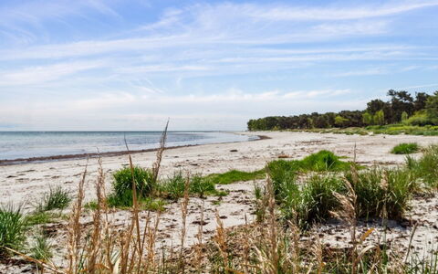 Liska - 60M from the Sea: Naturligt Miljø, Strand, Kyst, Coastal Og Oceaniske Landskabsformer, Kyst, Horisont, Sommer, Hav, Økoregion