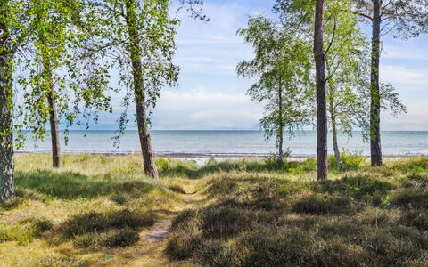 Liska - 60M from the Sea: Træ, Tag, Hjem, Hus, Arkitektur, Sidespor, Land Lot, Sommerhus, Skur, Garden Bygninger