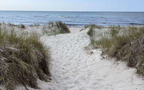 Jerg - 1Km from the Sea: Boligområde, Busk, Hus, Hjem, Have, Estate, Skygge, Landscaping, Lawn