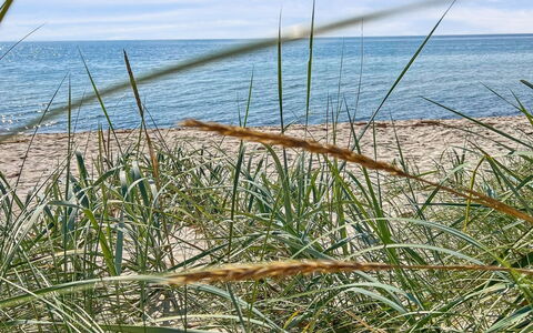 Jerg - 1Km from the Sea: Boligområde, Busk, Hus, Hjem, Have, Estate, Skygge, Landscaping, Lawn