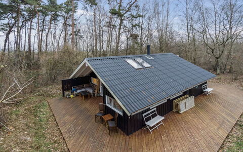 Eggerich - 700M from the Sea: Vegetationen, Busk, Forår, Sommerhus, Have, Skygge, Backyard, Gård, Stol