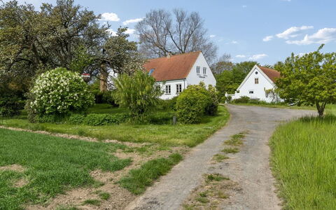 Hening - 150M from the Sea: Græs, Grøn, Hus, Busk, Hjem, Sommerhus, Landdistrikt, Landskab, Boligområde
