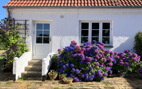 Hening - 150M from the Sea: Bygning, Hus, Vindue, Hjem, Tag, Boligområde, Busk, Sommerhus, Land Lot