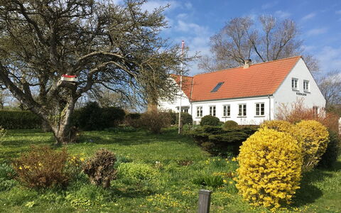 Hening - 150M from the Sea: Bygning, Hus, Vindue, Hjem, Tag, Boligområde, Busk, Sommerhus, Land Lot