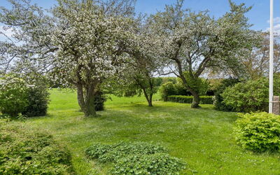 Hening - 150M from the Sea