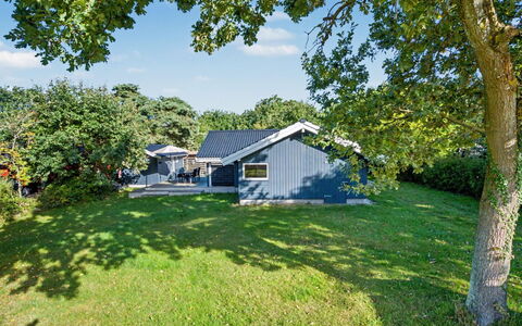 Vilmar - 250M from the Sea: Blå, Græs, Busk, Hjem, Sommerhus, Have, Bunddække, Lawn, Estate, Skygge