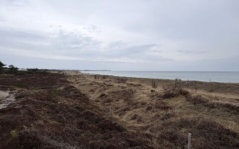 Elisej - 350M from the Sea: Himmel, Horisont, Økoregion, Sky, Hav, Shrubland, Sand, Strand, Kyst, Jord