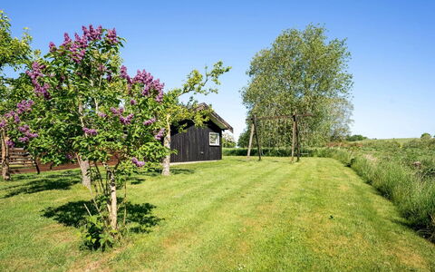 Svenne - 600M from the Sea: Grøn, Busk, Have, Land Lot, Bunddække, Forår, Sommerhus, Lawn, Eng, Gård