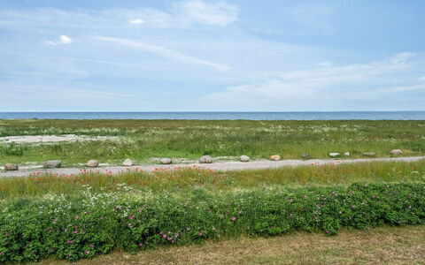 Tavita - 100M from the Sea: Tag, Hus, Hjem, Sommerhus, Dør, Sidespor, Estate, Lawn, Gård, Veranda