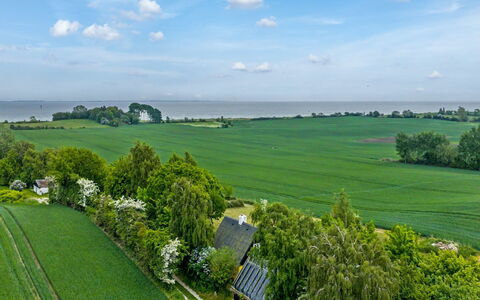 Verene - 725M from the Sea: Grøn, Græs, Naturlige Landskab, Græs-, Landskab, Almindeligt, Land Lot, Mark, Landdistrikt, Plantation