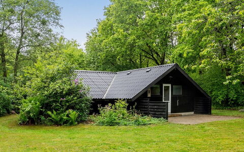 Sölvy - 30Km from the Sea: Sommerhus, Hjem, Have, Skygge, Garden Bygninger, Lawn, Skur, Sidespor, Bjælkehytte, Backyard