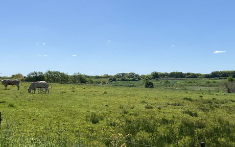 Grimi - 36Km from the Sea: Blå, Busk, Sommerhus, Bunddække, Have, Estate, Skygge, Landscaping, Stuehus, Eco Hotel