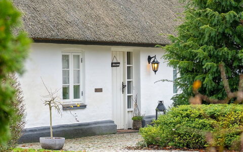 Jolanda: Grøn, Bakke, Highland, Landbrug, Plantation, Hill Station, Mark, Landdistrikt, Eng, Pasture