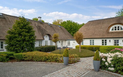 Jolanda: Grøn, Bakke, Highland, Landbrug, Plantation, Hill Station, Mark, Landdistrikt, Eng, Pasture