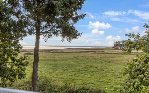 Aave - 5Km from the Sea: Himmel, Naturlige Landskab, Vegetationen, Horisont, Græs-, Almindeligt, Land Lot, Morgen, Prærie, Sollys
