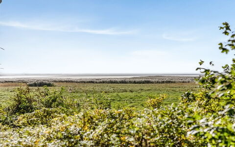 Aave - 5Km from the Sea: Grøn, Bakke, Highland, Landbrug, Plantation, Hill Station, Mark, Landdistrikt, Eng, Pasture