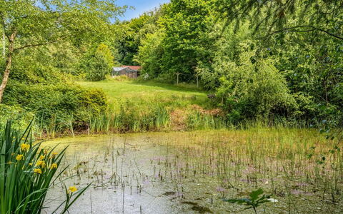 Tabetha - 24Km from the Sea: Grøn, Vand, Naturligt Miljø, Natur, Græs, Naturlige Landskab, Vegetationen, Marsk, Busk