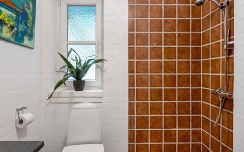 Tabetha - 24Km from the Sea: Væg, Badeværelse, Sanitærarmatur, Gulvbelægning, Etage, Indretning, Vvs, Toiletbræt, Flise, Toilet