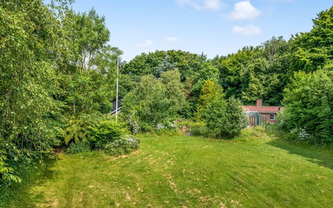 Tabetha - 24Km from the Sea: Grøn, Bakke, Highland, Landbrug, Plantation, Hill Station, Mark, Landdistrikt, Eng, Pasture