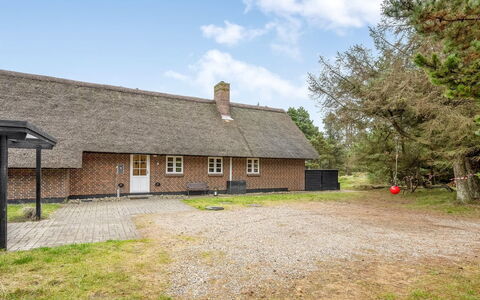 Thomine - 1.5Km from the Sea: Grøn, Bakke, Highland, Landbrug, Plantation, Hill Station, Mark, Landdistrikt, Eng, Pasture