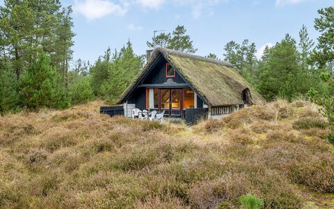 Erhardt - 2Km from the Sea: Grøn, Bakke, Highland, Landbrug, Plantation, Hill Station, Mark, Landdistrikt, Eng, Pasture