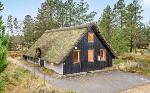 Erhardt - 2Km from the Sea: Grøn, Bakke, Highland, Landbrug, Plantation, Hill Station, Mark, Landdistrikt, Eng, Pasture