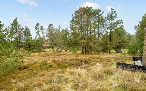 Erhardt - 2Km from the Sea: Grøn, Bakke, Highland, Landbrug, Plantation, Hill Station, Mark, Landdistrikt, Eng, Pasture
