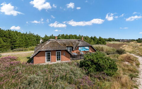 Eweline - 700M from the Sea: Græs, Tag, Hus, Sommerhus, Busk, Landskab, Landdistrikt, Økoregion, Land Lot