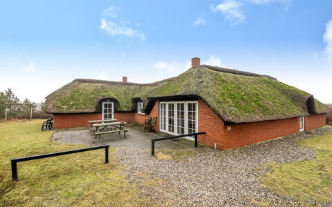 Eweline - 700M from the Sea: Grøn, Bakke, Highland, Landbrug, Plantation, Hill Station, Mark, Landdistrikt, Eng, Pasture