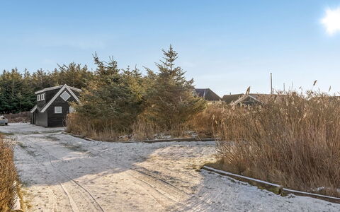Oskar - 300M from the Sea: Grøn, Bakke, Highland, Landbrug, Plantation, Hill Station, Mark, Landdistrikt, Eng, Pasture