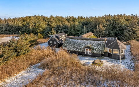 Oskar - 300M from the Sea: Grøn, Bakke, Highland, Landbrug, Plantation, Hill Station, Mark, Landdistrikt, Eng, Pasture
