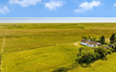 Vilvi - 250M to the Fjord: Grøn, Bakke, Highland, Landbrug, Plantation, Hill Station, Mark, Landdistrikt, Eng, Pasture