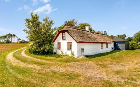 Vilvi - 250M to the Fjord: Græs, Grøn, Hus, Sommerhus, Landdistrikt, Tækning, Tag, Græs-, Landskab