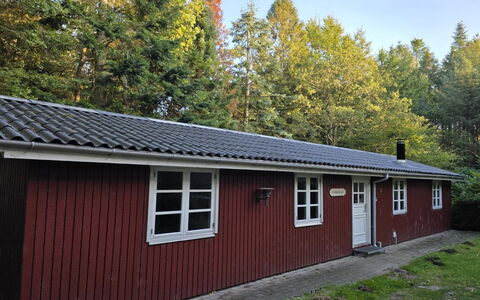 Lilija - 7.9Km to the Fjord: Hvid, Font, Nummer