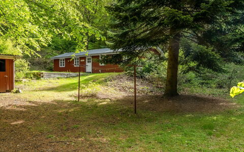 Lilija - 7.9Km to the Fjord: Træ, Græs, Blad, Busk, Sommerhus, Hus, Landskab, Hjem, Landdistrikt
