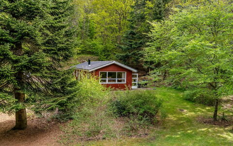 Lilija - 7.9Km to the Fjord: Træ, Græs, Blad, Natur, Vegetationen, Busk, Sommerhus, Hus, Hjem, Landdistrikt