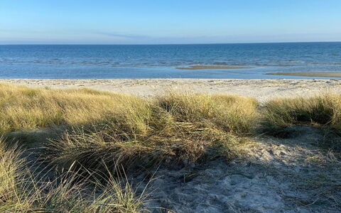 Nanne - from the Sea: Hvid, Font, Nummer