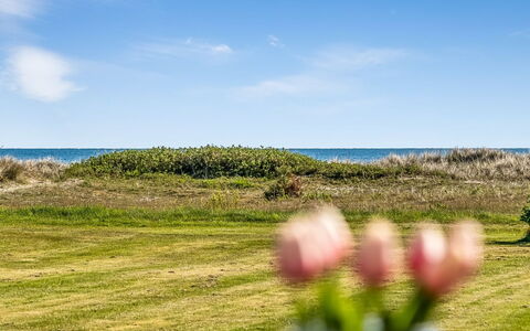 Nomi - 100M from the Sea: Himmel, Blå, Græs, Horisont, Økoregion, Græs-, Sommer, Hav, Almindeligt, Kyst