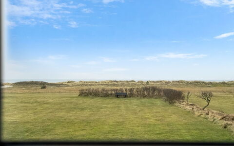 Nomi - 100M from the Sea: Hvid, Font, Nummer