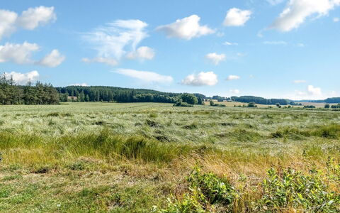 Maris - 20Km from the Sea: Hvid, Font, Nummer